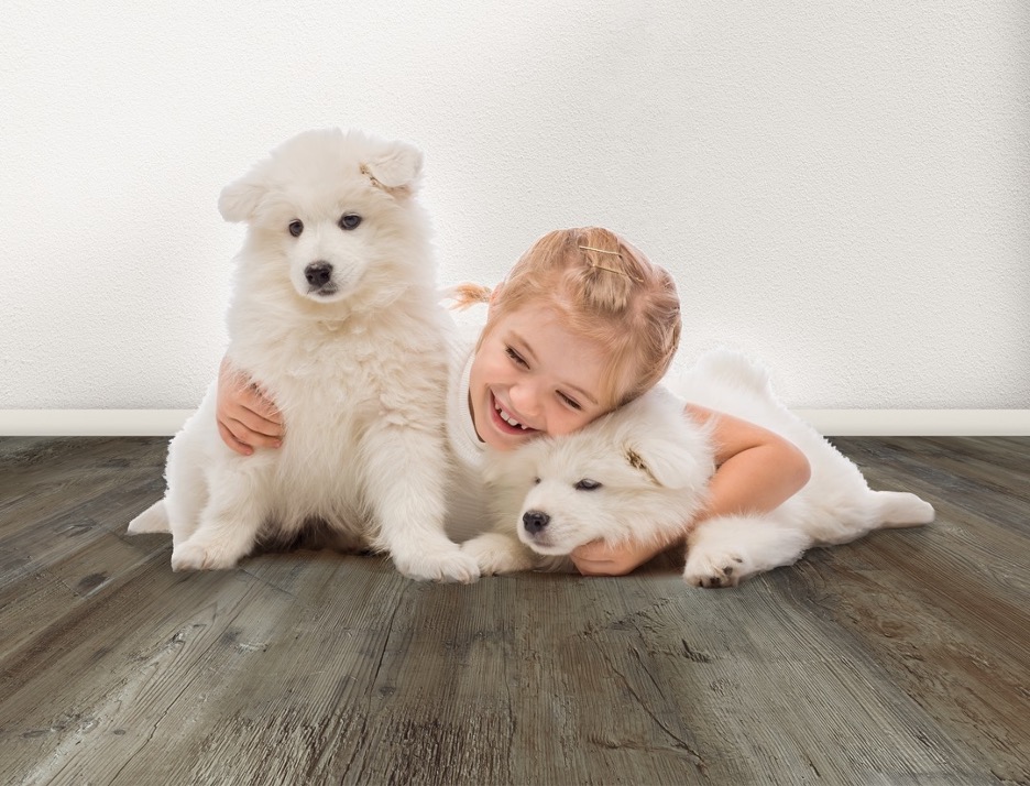 Dogs and kid on floor